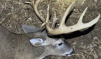 1037 Cr 300, Big Creek, MS 38914