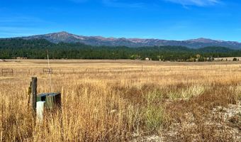 L10 Philadelphia Lane lot 10, Cascade, ID 83611