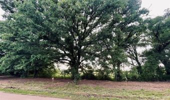Lot 4 COUNTY ROAD 1560, Alba, TX 75410