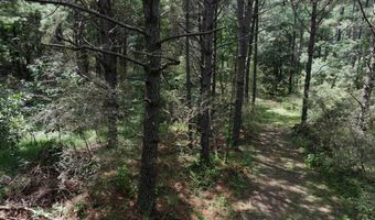 8501 Lawsontown Rd, Adger, AL 35444