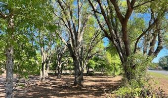 3109 US Hwy 129, Bell, FL 32619
