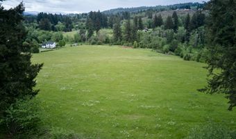 NE 389th St, Amboy, WA 98601