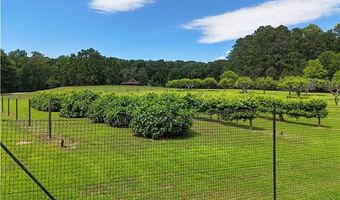 1103 Apple Pie Ridge Rd, Alto, GA 30510
