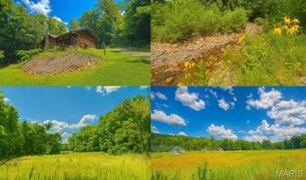 24760 Highway 21, Annapolis, MO 63620