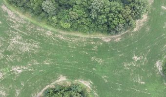 Hwy 1591, Bardwell, KY 42023