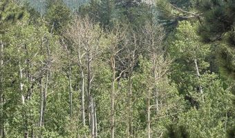 23 2nd Ave, Allenspark, CO 80510