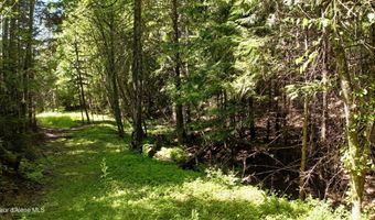 1710 Tower Mountain Rd, Blanchard, ID 83804