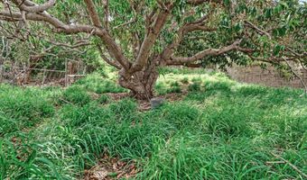 557 Maalo St, Kahului, HI 96732