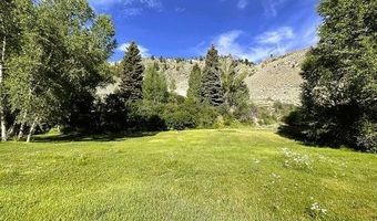 209 Deer Path Ln Lot 9, Almont, CO 81230
