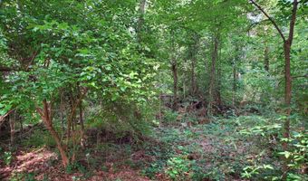 136 Plum Tree Rd, Brandon, MS 39047
