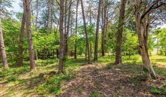 787 Woodlawn Trl, Appomattox, VA 24522
