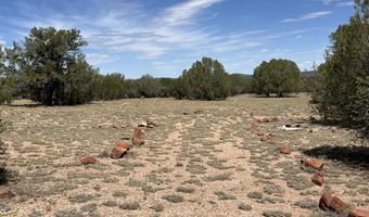 21 Off Of Cooks Trl, Ash Fork, AZ 86320