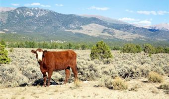 Duck Creek Development Road, Ely, NV 89301