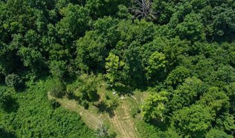 13543 N State Highway 5, Ava, MO 65608