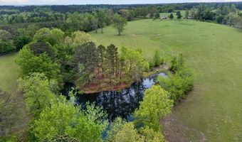 89 Nantz Trl, Arkadelphia, AR 71923