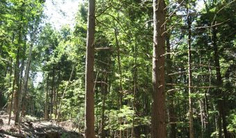 1260 Valentine Pond Rd, Adirondack, NY 12808