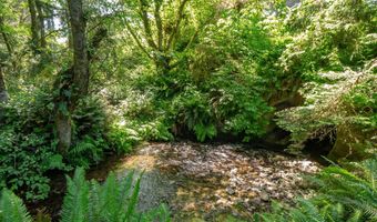 Shark Creek Ln, Arch Cape, OR 97102