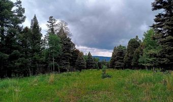 Lot 1220 Rainbow Overlook, Angel Fire, NM 87710