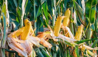 0000 450th Rd, Bassett, NE 68714