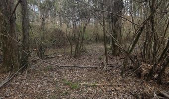 U.S. Highway 51, Bogue Chitto, MS 39629