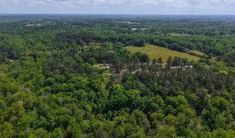 23826 Opine Rd, Andalusia, AL 36421