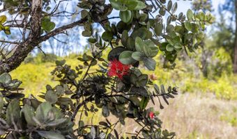15-929 Lemiwai Rd, Keaau, HI 96749