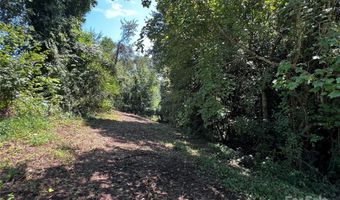 210 Ball Gap Rd, Arden, NC 28704