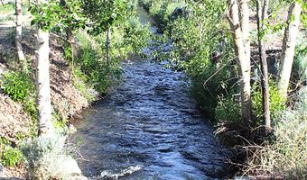 1100 Wyatt Lane Lot Across From Carson Valley Golf Crse, Gardnerville, NV 89460