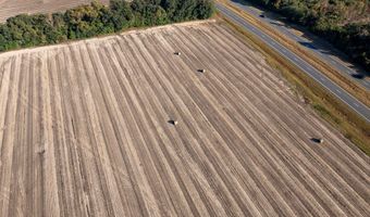 3431 Gladys Ct, Albany, GA 31705