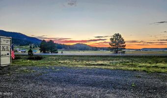 8 N COUNTY ROAD N2062 008, Alpine, AZ 85920
