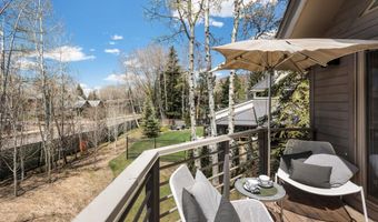 725 Castle Creek Dr, Aspen, CO 81611