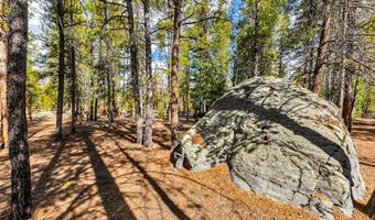 265 Placer Dr Lot 10, Alma, CO 80420