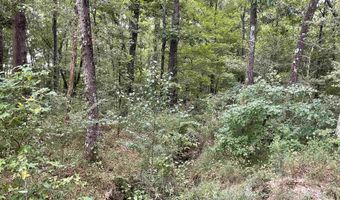 3551 Moonlight Rd, Barnwell, SC 29853