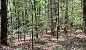 8 SC-215 S, Blair, SC 29015