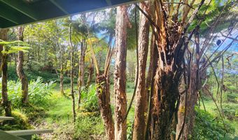 ABOVE MAMALAHOA, Captain Cook, HI 96704