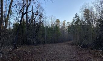 Spann Road, Batesburg Leesville, SC 29006