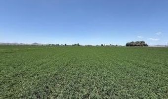 W Desert Rose Road, Arlington, AZ 85322