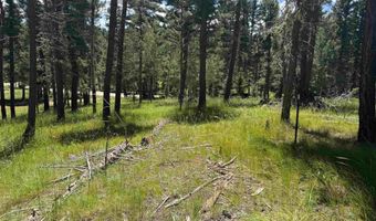 Calle de los Indios lot 44, Angel Fire, NM 87710