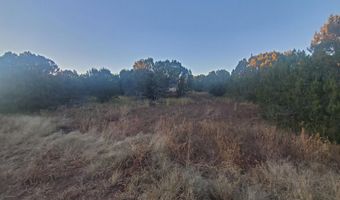 1 COUNTY ROAD N8155, Concho, AZ 85924