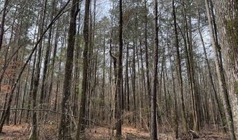 920 B Auburn Dr, Bogue Chitto, MS 39629