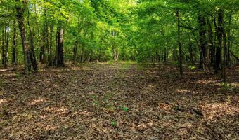 Cave Creek Road, Batesville, AR 72501