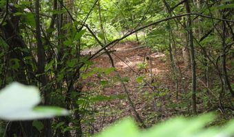 396 County Road 778, Athens, TN 37303