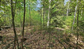 Province Road lot 26, Belmont, NH 03220