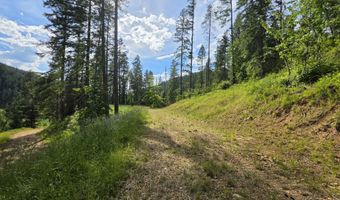 480 Dunn Peak Rd, Avery, ID 83802