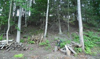 S Forest Lake, Alger, MI 48610