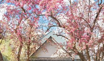 1006 E Cooper Ave, Aspen, CO 81611