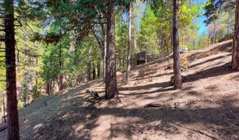 1800 Kit Carson Cir, Arnold, CA 95223