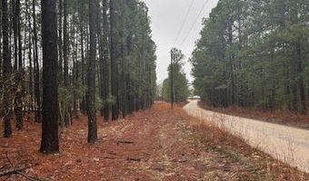 TBD Freeman Rd, Bethune, SC 29009