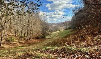 1520 Brittontown Rd, Afton, TN 37616