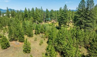 3003 E Carver Ln, Athol, ID 83801